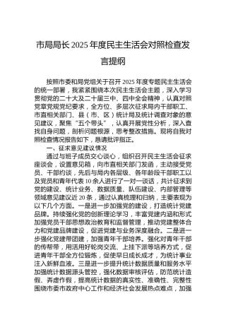 市局局长2025年度民主生活会对照检查发言提纲