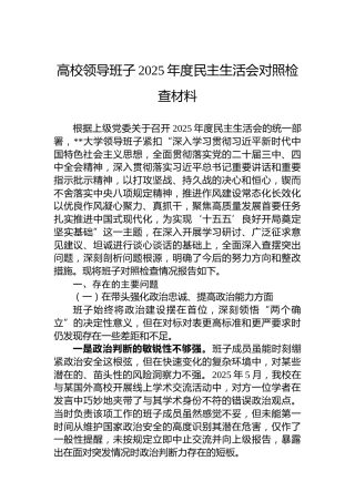 高校领导班子2025年度民主生活会对照检查材料