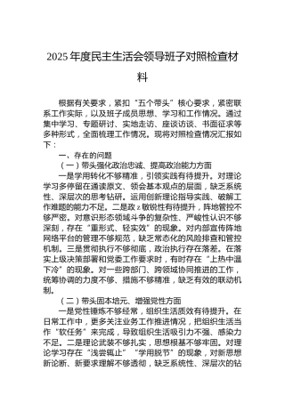 2025年度民主生活会领导班子对照检查材料