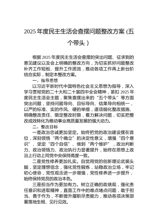 2025年度民主生活会查摆问题整改方案(五个带头）