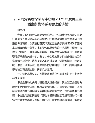 在公司党委理论学习中心组2025年度民主生活会前集体学习会上的讲话
