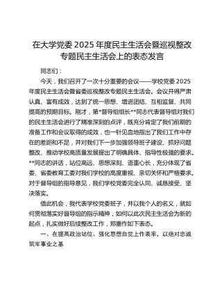 在大学党委2025年度民主生活会暨巡视整改专题民主生活会上的表态发言