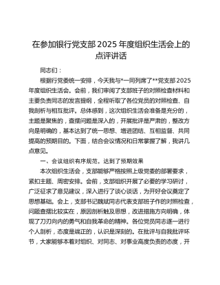 在参加银行党支部2025年度组织生活会上的点评讲话