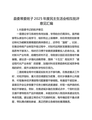县委常委班子2025年度民主生活会相互批评意见汇编