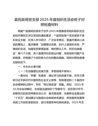 县民政局党支部2025年度组织生活会班子对照检查材料