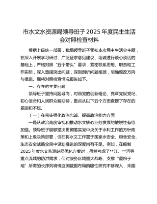 市水文水资源局领导班子2025年度民主生活会对照检查材料