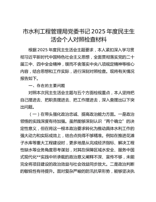 市水利工程管理局党委书记2025年度民主生活会个人对照检查材料