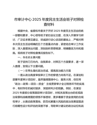 市审计中心2025年度民主生活会班子对照检查材料