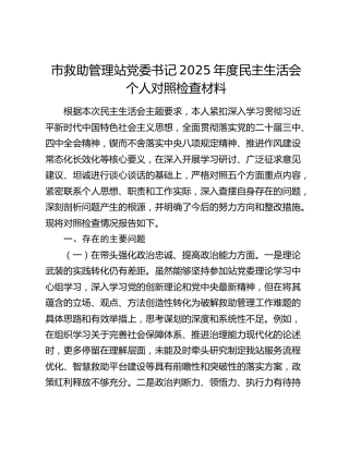 市救助管理站党委书记2025年度民主生活会个人对照检查材料