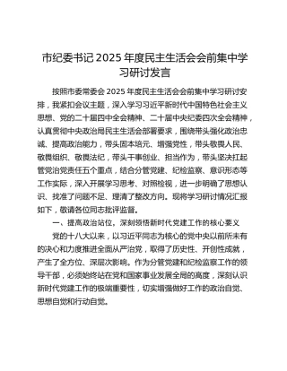 市纪委书记2025年度民主生活会会前集中学习研讨发言