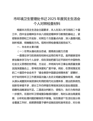 市环境卫生管理处书记2025年度民主生活会个人对照检查材料