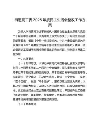 街道党工委2025年度民主生活会整改工作方案