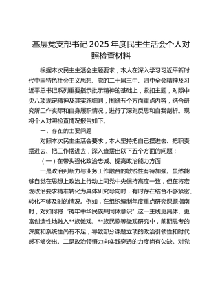 基层党支部书记2025年度民主生活会个人对照检查材料