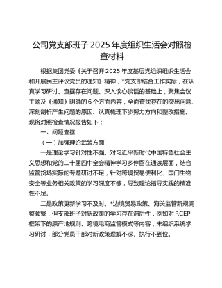 公司党支部班子2025年度组织生活会对照检查材料