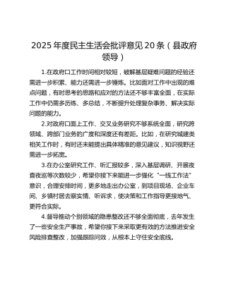 2025年度民主生活会批评意见20条（县政府领导）