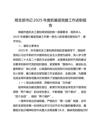 局支部书记2025年度抓基层党建工作述职报告