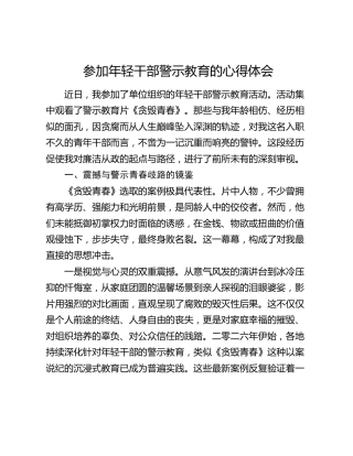 参加年轻干部警示教育的心得体会