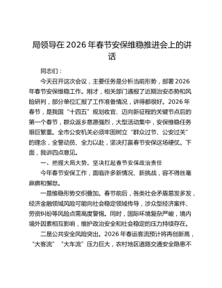 局领导在2026年春节安保维稳推进会上的讲话