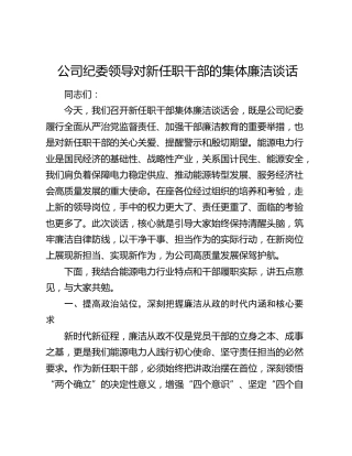 公司纪委领导对新任职干部的集体廉洁谈话