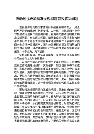 推动巡视更加精准发现问题有效解决问题