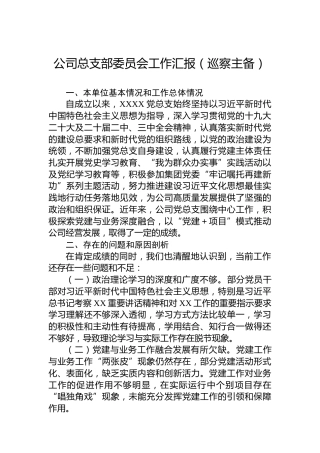 公司总支部委员会工作汇报（巡察主备）
