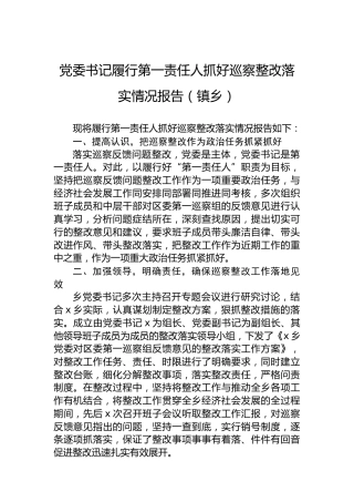 党委书记履行第一责任人抓好巡察整改落实情况报告（镇乡）