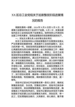 XX区总工会党组关于巡察整改阶段进展情况的报告