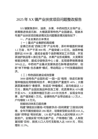 2025年XX镇产业扶贫项目问题整改报告