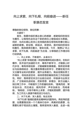 向上求索、向下扎根、向前奋进——新任职表态发言
