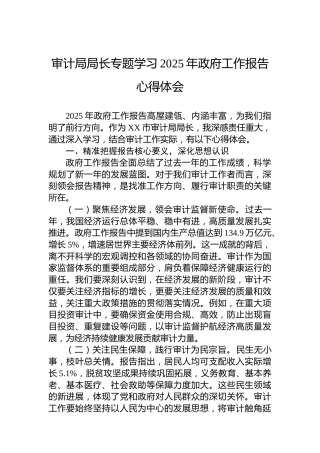 审计局局长专题学习2025年政府工作报告心得体会