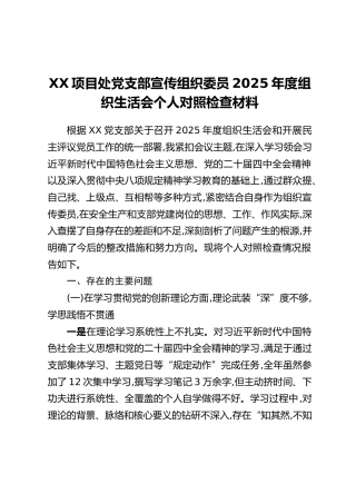 XX项目处党支部宣传组织委员2025年度组织生活会个人对照检查材料