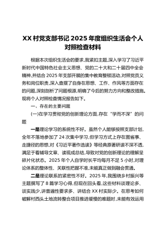 XX村党支部书记2025年度组织生活会个人对照检查材料