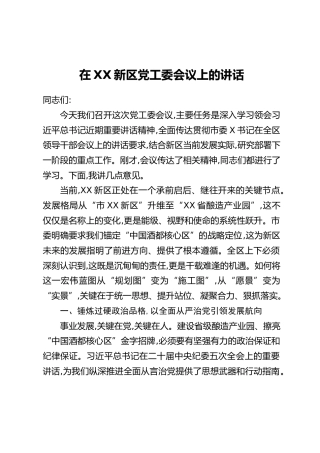 在XX新区党工委会议上的讲话