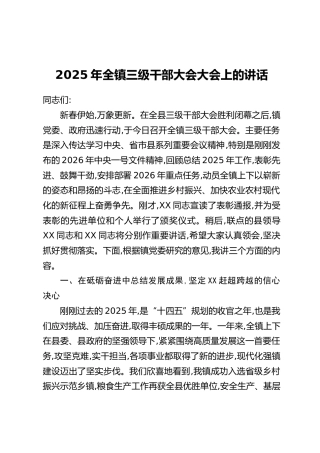 2025年全镇三级干部大会大会上的讲话