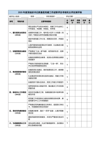 2025年度党组织书记抓基层党建工作述职评议考核民主评议测评表