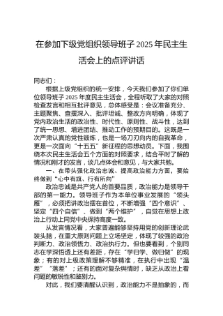 在参加下级党组织领导班子2025年民主生活会上的点评讲话