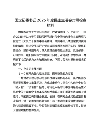 国企纪委书记2025年度民主生活会对照检查材料