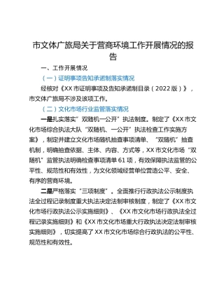 市文体广旅局关于营商环境工作开展情况的报告