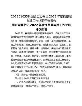 国企党委书记2022年度抓基层党建工作述职评议报告