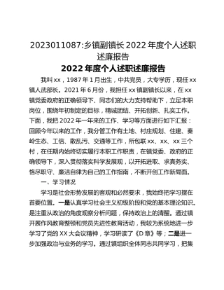 乡镇副镇长2022年度个人述职述廉报告