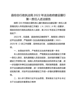 县综合行政执法局2022年法治政府建设履行第一责任人述法报告