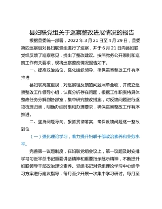 县妇联党组关于巡察整改进展情况的报告