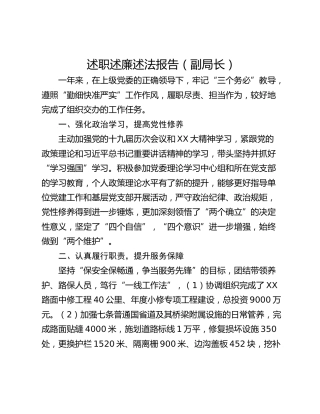 述职述廉述法报告（副局长）