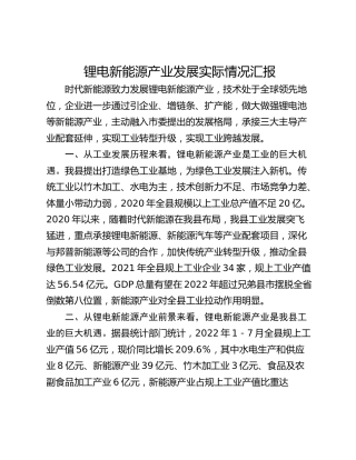 锂电新能源产业发展实际情况汇报