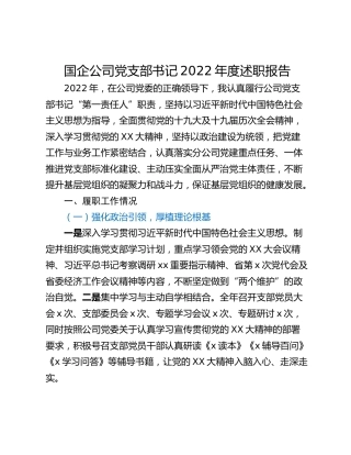 国企公司党支部书记2022年度述职报告