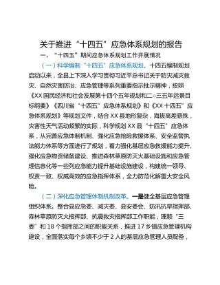 关于推进“十四五”应急体系规划的报告