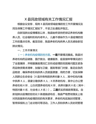 X县民政领域有关工作情况汇报
