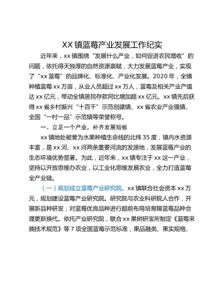 XX镇蓝莓产业发展工作纪实