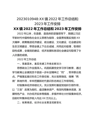 XX镇2022年工作总结和2023年工作安排