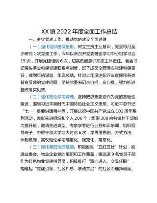 XX镇2022年度全面工作总结